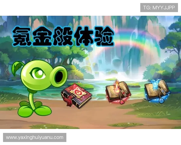 亚星娱乐官方下载官方正版，确保您的账户安全与游戏体验提升