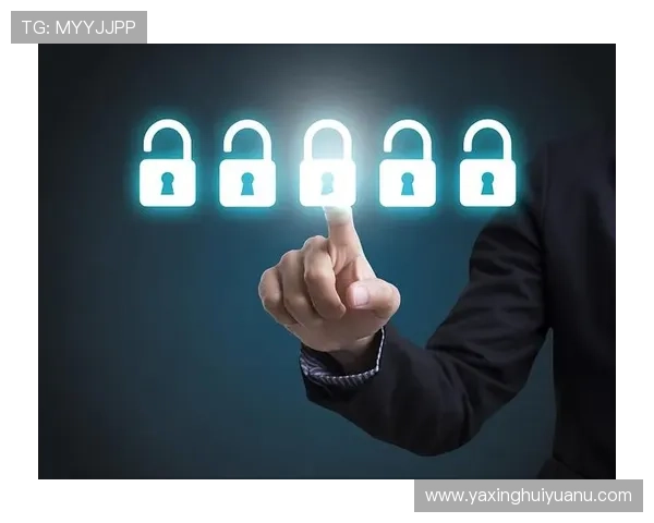 亚星官方在线登录入口用户隐私保护政策，保障个人信息安全与合法使用