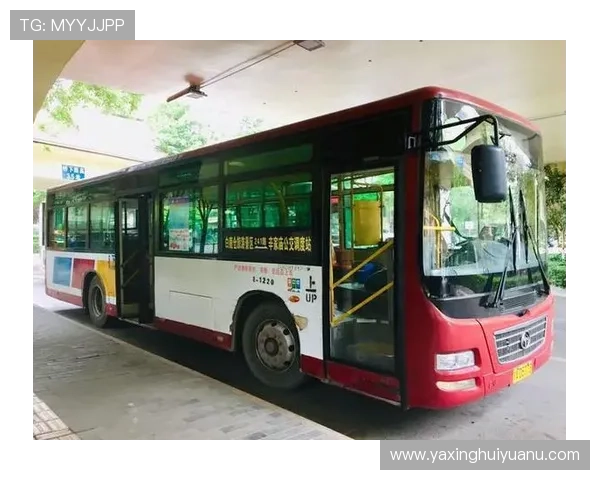 亚星官方网提供全面的产品信息和详细的服务支持指南