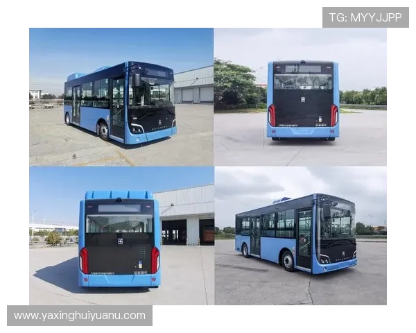 亚星官方网站登录入口网址官方入口导航，轻松访问亚星官网登录界面技巧