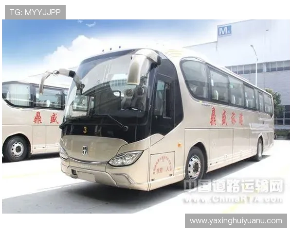 亚星官网官网入口详细介绍，提供最全的登录入口及使用攻略