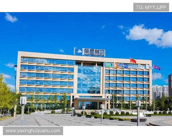 K8凯发体育娱乐提供的丰富赛事直播和专业分析助你做出明智投注决策 K8凯发体育娱乐提供的丰富赛事直播和专业分析助你做出明智投注决策